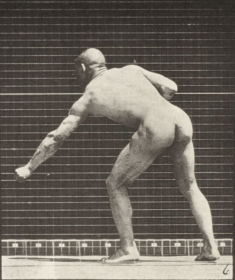 Plate 343 Striking a blow with left hand — figure reference